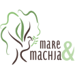MARE E MACHJA | Entreprise d'aménagements extérieurs à Ventiseri