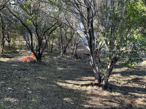 Débroussaillement manuel sélectif à Cala D’oru, Solenzara, Ventiseri, MARE E MACHJA
