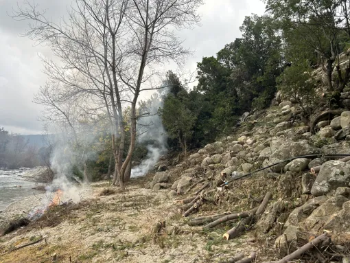 Abattage sélectif avec débitage et brûlage des rémanents de coupe