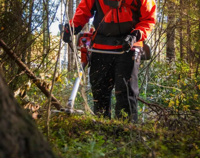 Sécuriser zone à risque d'incendie en broyant la végétation, Ventiseri, MARE È MACHJA