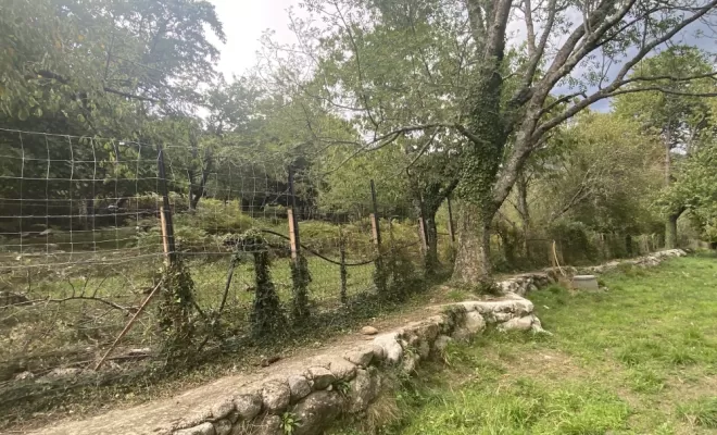 Clôture pierre