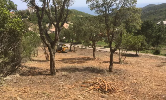 Sécuriser zone à risque d'incendie en broyant la végétation, Ventiseri, MARE E MACHJA