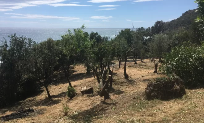 Sécuriser zone à risque d'incendie en broyant la végétation, Ventiseri, MARE E MACHJA