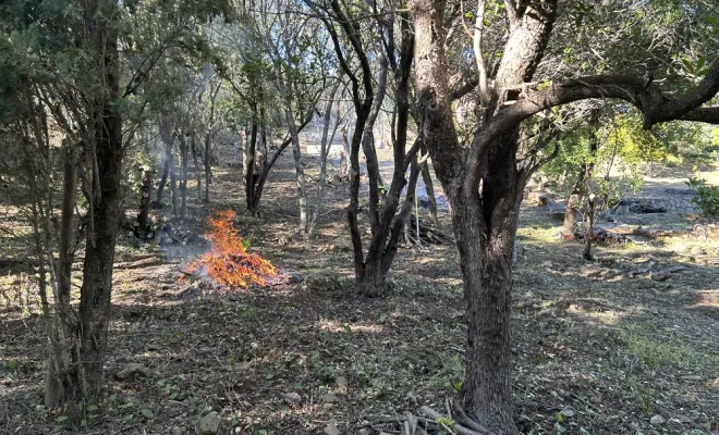 Débroussaillement manuel sélectif à Cala D’oru, Solenzara, Ventiseri, MARE E MACHJA