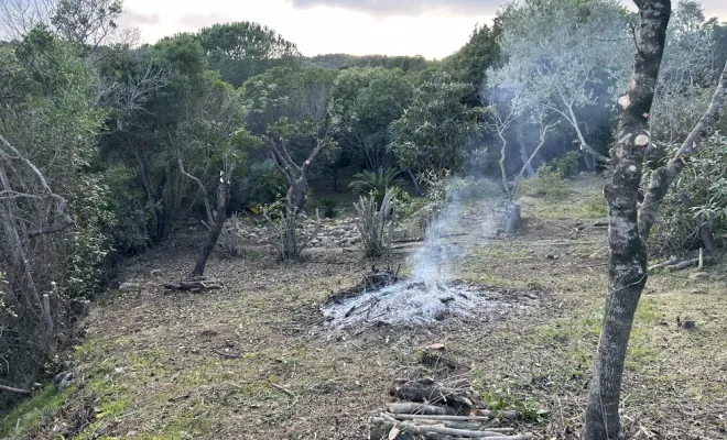 Débroussaillement manuel sélectif à Cala D’oru, Solenzara, Ventiseri, MARE E MACHJA