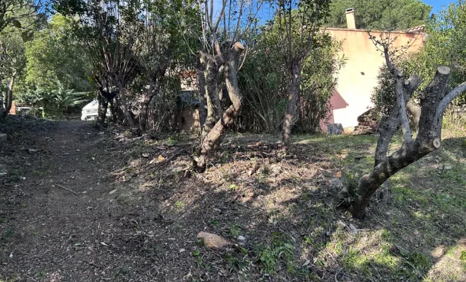 Débroussaillement manuel sélectif à Cala D’oru, Solenzara, Ventiseri, MARE E MACHJA