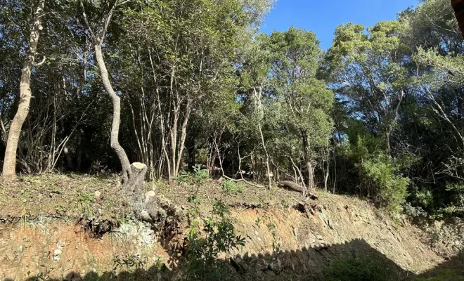Débroussaillement manuel sélectif à Cala D’oru, Solenzara, Ventiseri, MARE E MACHJA