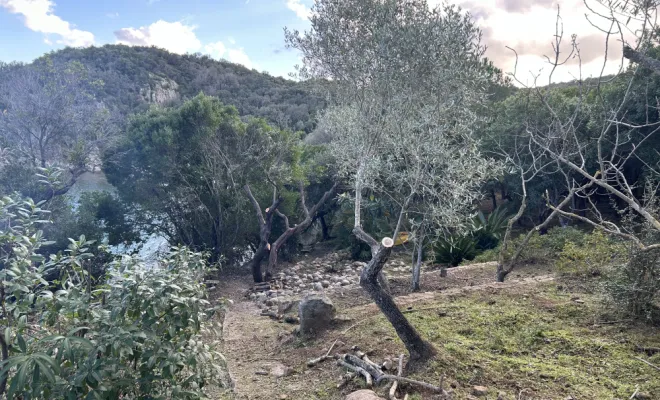 débroussaillement et élagage à Cala D’oru / Solenzara, Ventiseri, MARE E MACHJA