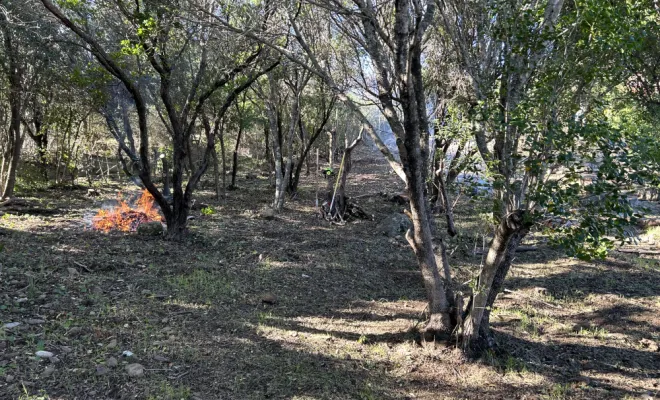 débroussaillement et élagage à Cala D’oru / Solenzara, Ventiseri, MARE E MACHJA