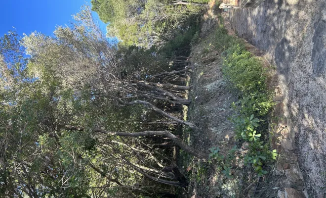débroussaillement cala d’ora, Ventiseri, MARE E MACHJA