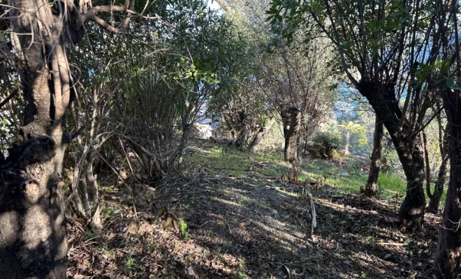 débroussaillement cala d’ora, Ventiseri, MARE E MACHJA
